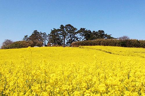 [어린이날, 5월 연휴 추천]제12회 부안마실축제❘기간, 일정, 프로그램, 사전예약 정보 총정리