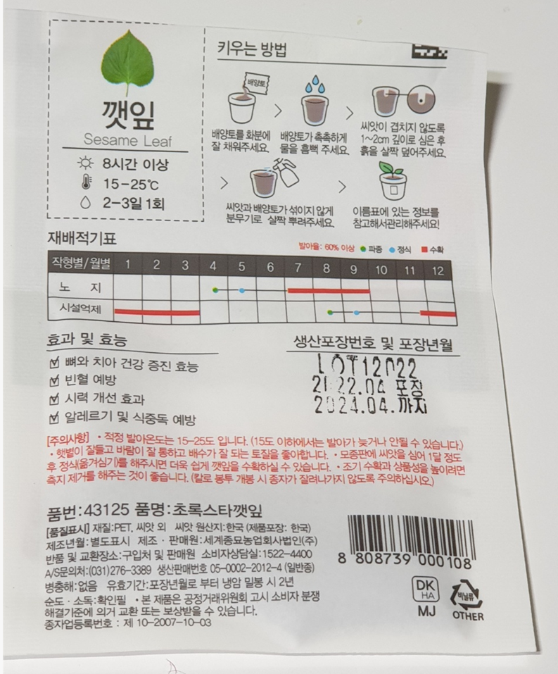 다이소에서 구매한 깻잎 씨앗
