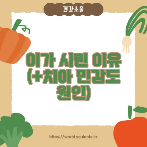 이가 시린 이유 (+치아 민감도 원인)