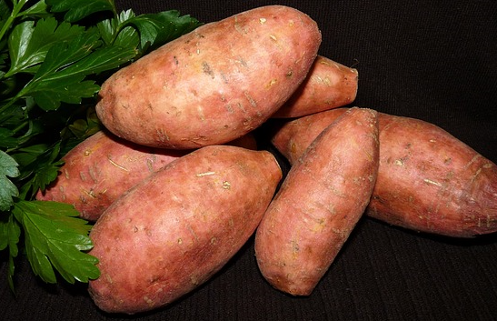 담석증-좋은음식-고구마