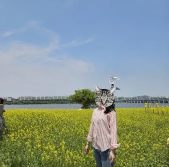 서래섬 유채꽃 축제 2025 서울 봄꽃 명소_12