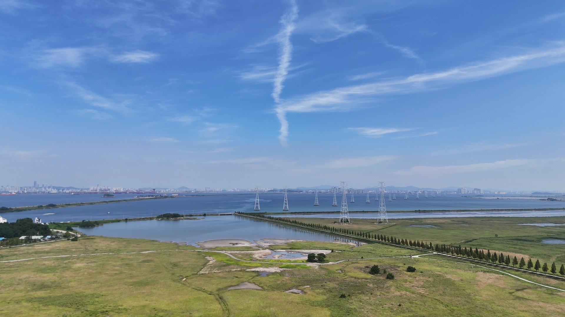 대부도 바다향기테마파크 코스모스