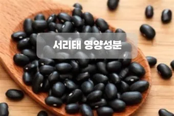 서리태 효능 콩물 만드는방법 수확시기 서리태콩 정보_24