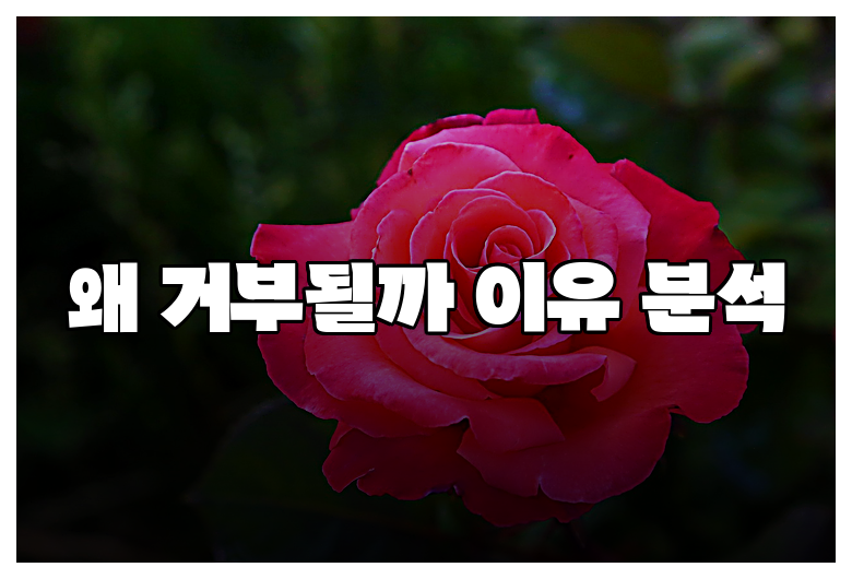 왜 거부될까 이유 분석
