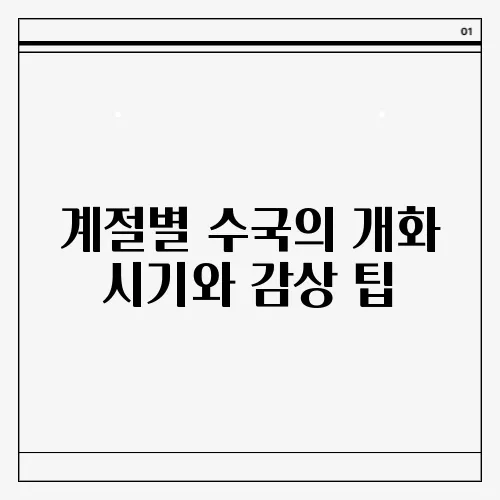 계절별 수국의 개화 시기와 감상 팁