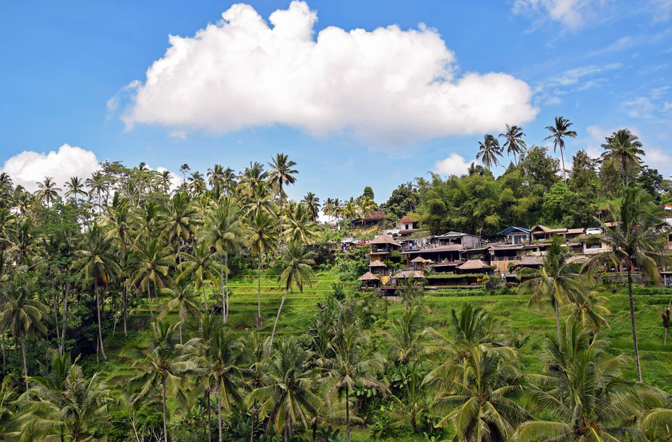발리 우붓 필수코스