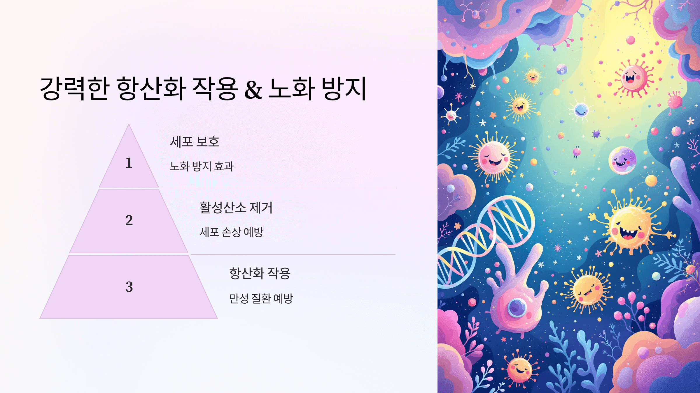 코큐텐과 관련된 사진입니다.