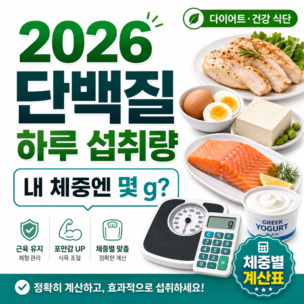 2026 단백질 하루 섭취량 계산법|내 체중에는 몇 g이 적당할까?