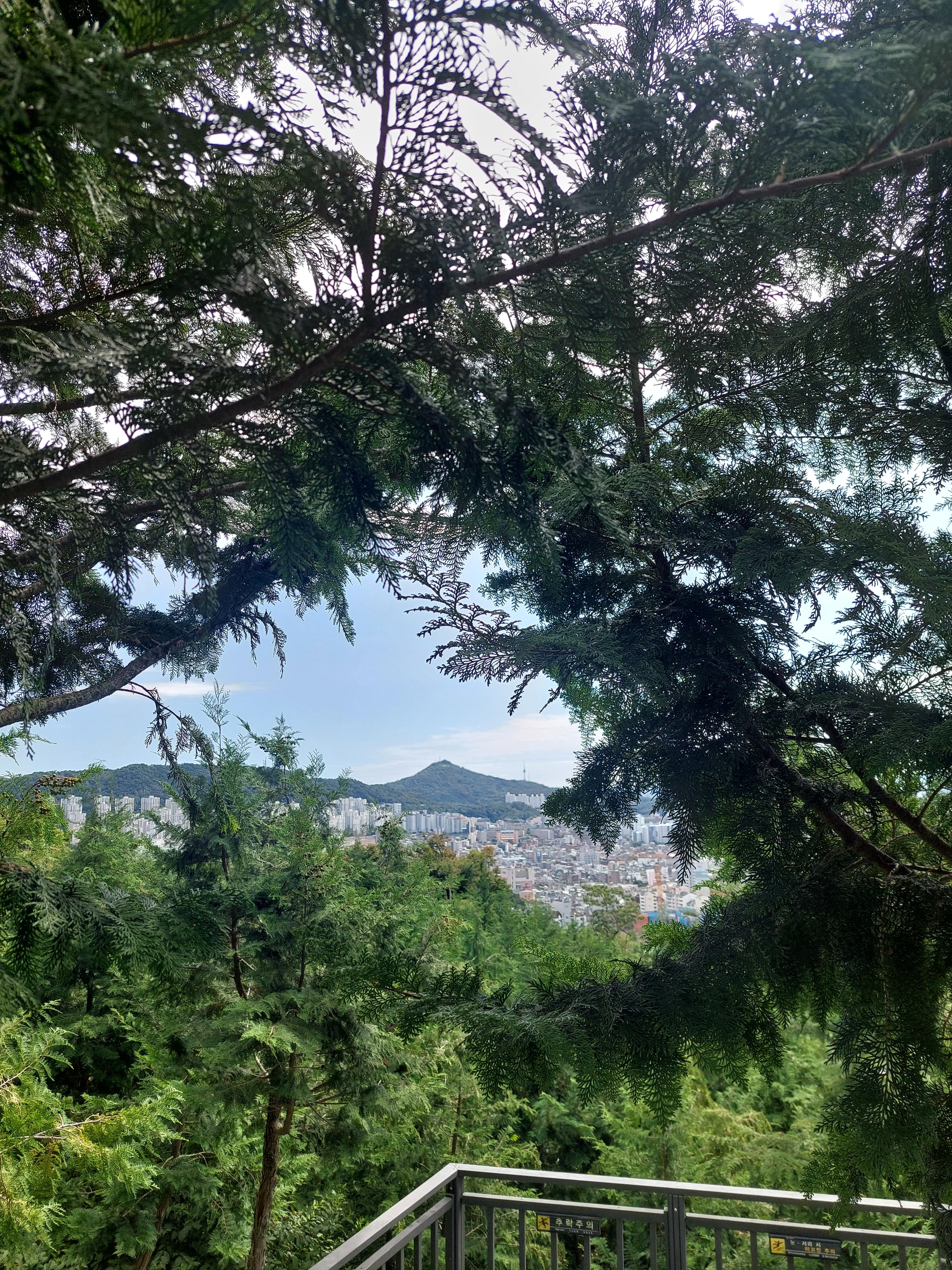 봉산앵봉산