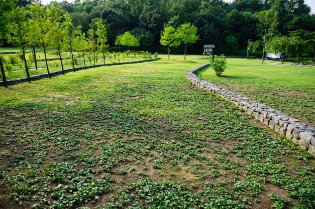 휴식년 중인 풀밭