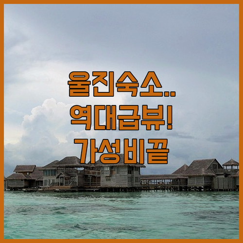 울진 숙소 추천 가성비 호텔부터 오션..