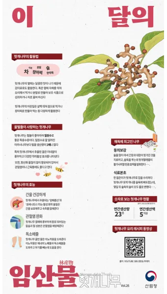 헛개나무 효능 10가지 건강에 좋은 식물 정보_15