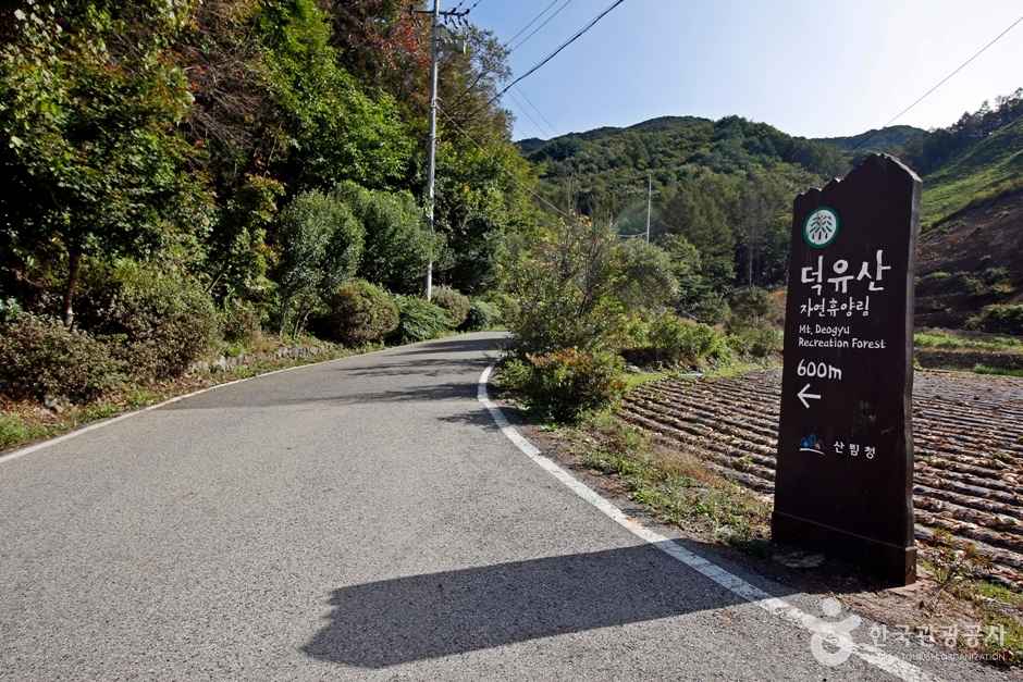 국립덕유산자연휴양림
