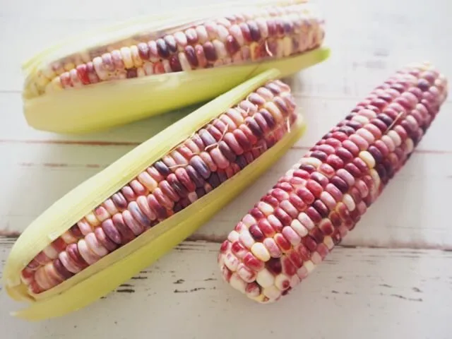 삶은 옥수수 효능