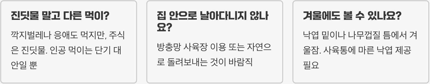 진딧물 킬러 무당벌레 키우기 A to Z (알, 애벌레, 성충 완벽 가이드)