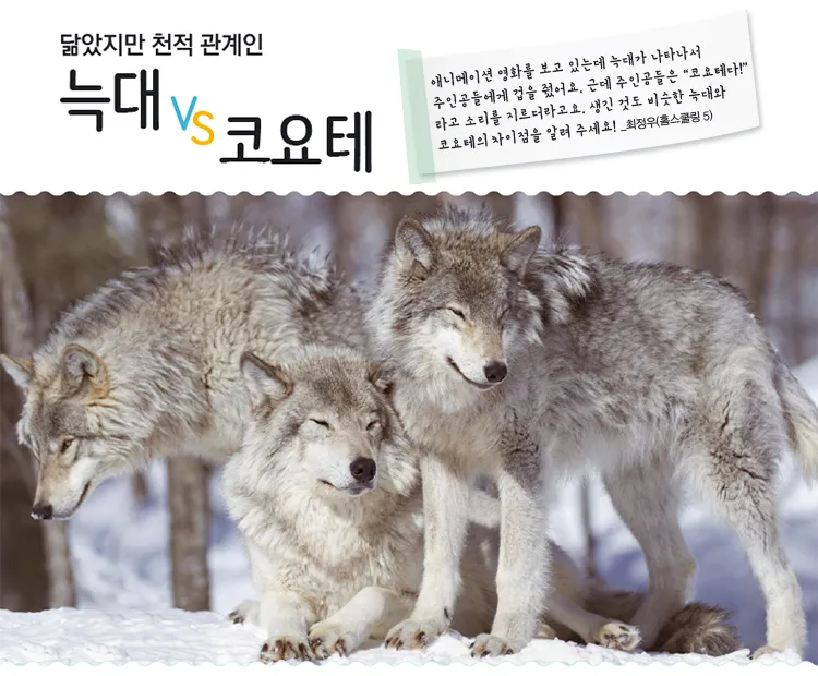 코요태 댄스곡 노래 모음 26곡 연속 감상 정리_7