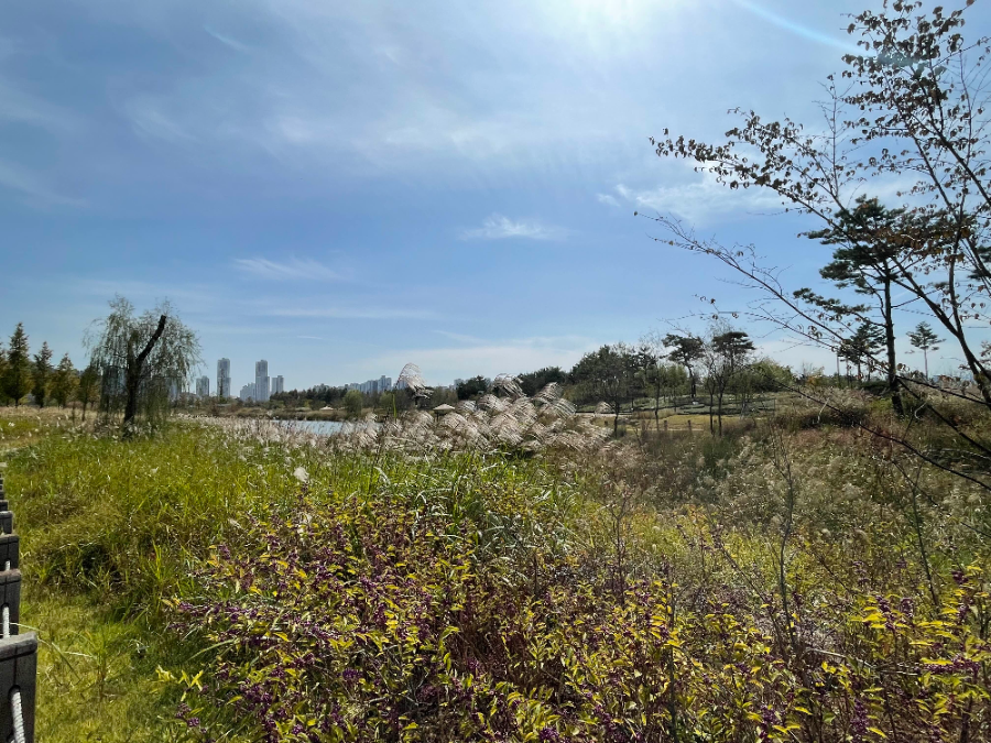 국립 세종수목원 여행