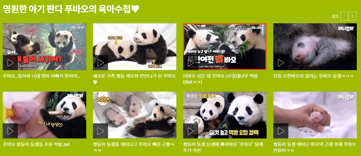 푸바오의 육아수첩