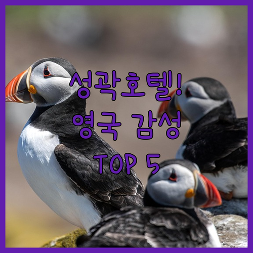 영국 노섬벌랜드 숙소 추천 TOP 5..