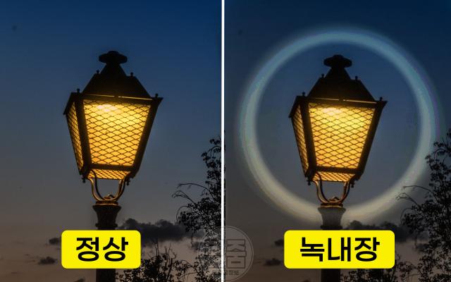 녹내장에 좋은 음식