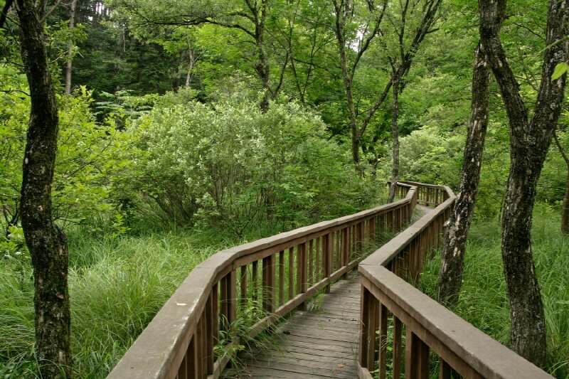 포천 국립수목원 광릉수목원 예약