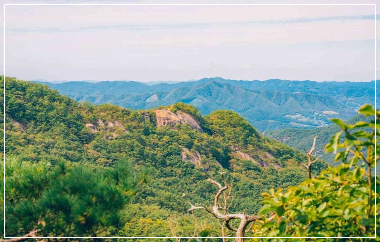 보은 가볼만한곳 베스트10 속리산 국립공원