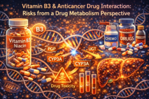 RUNX3 발현을 유도하는 식품