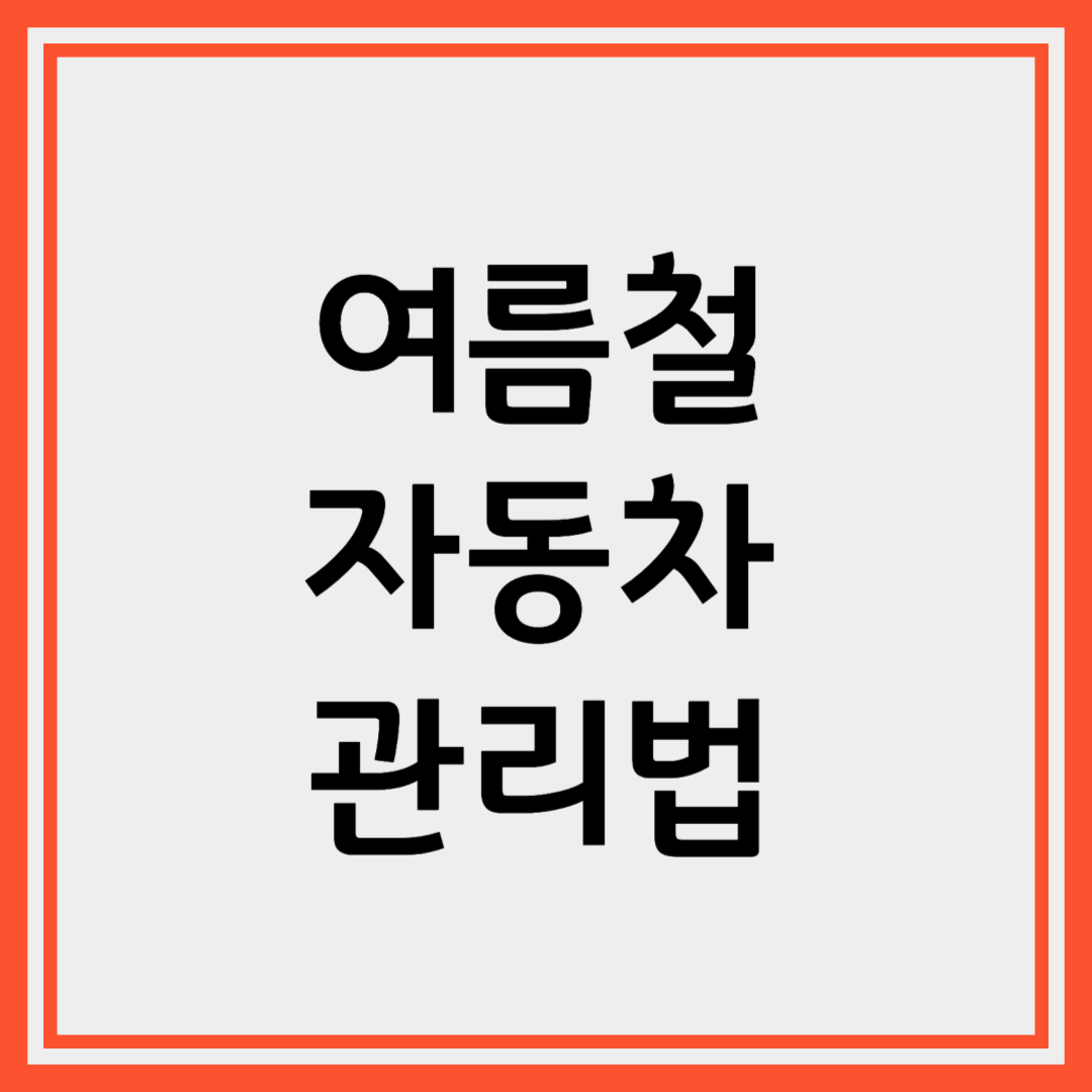 여름철 자동차 관리법 총정리
