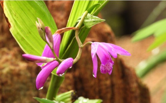 2025 함평 나비 축제 일정부터 주차·입장료까지! 꿀팁 총정리