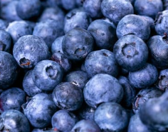 스위치온 다이어트란 식단 정리