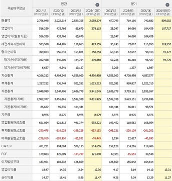 네이버 증권에서 본 삼성전자 주식 재무제표