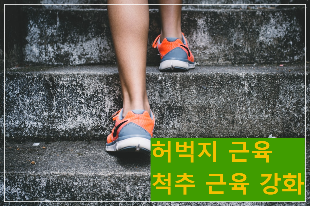 뇌 건강을 지키는 중년 기 &quot;근육 테크&quot; 매우 중요합니다!