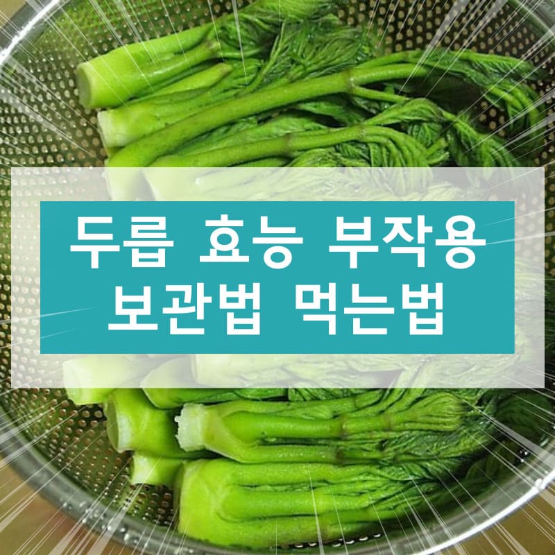 두릅 효능 부작용