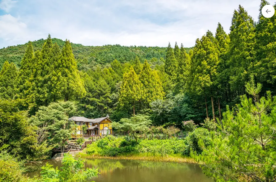 온빛자연휴양림예약 주차 논산