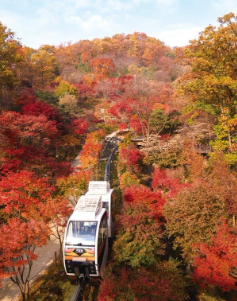 화담숲 예약 3분만에 성공하는 꿀팁