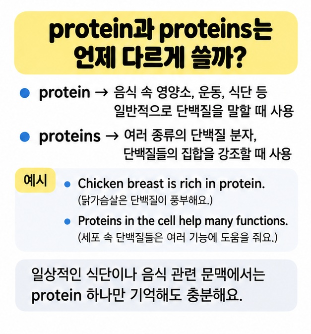 protein과 proteins의 사용 차이를 비교한 영어 학습 카드