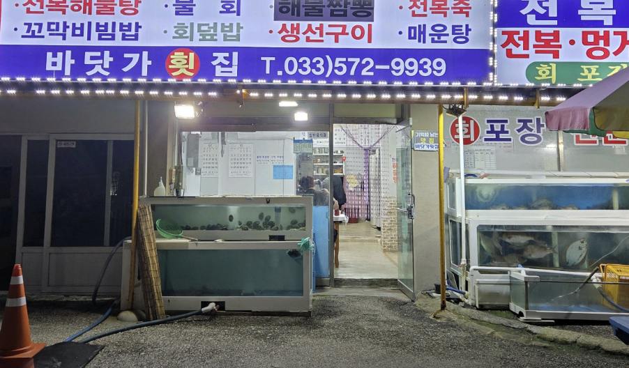 삼척 장호항 각종 수산물 요리 맛집 | 6시 내고향 방송 나온 바닷가횟집