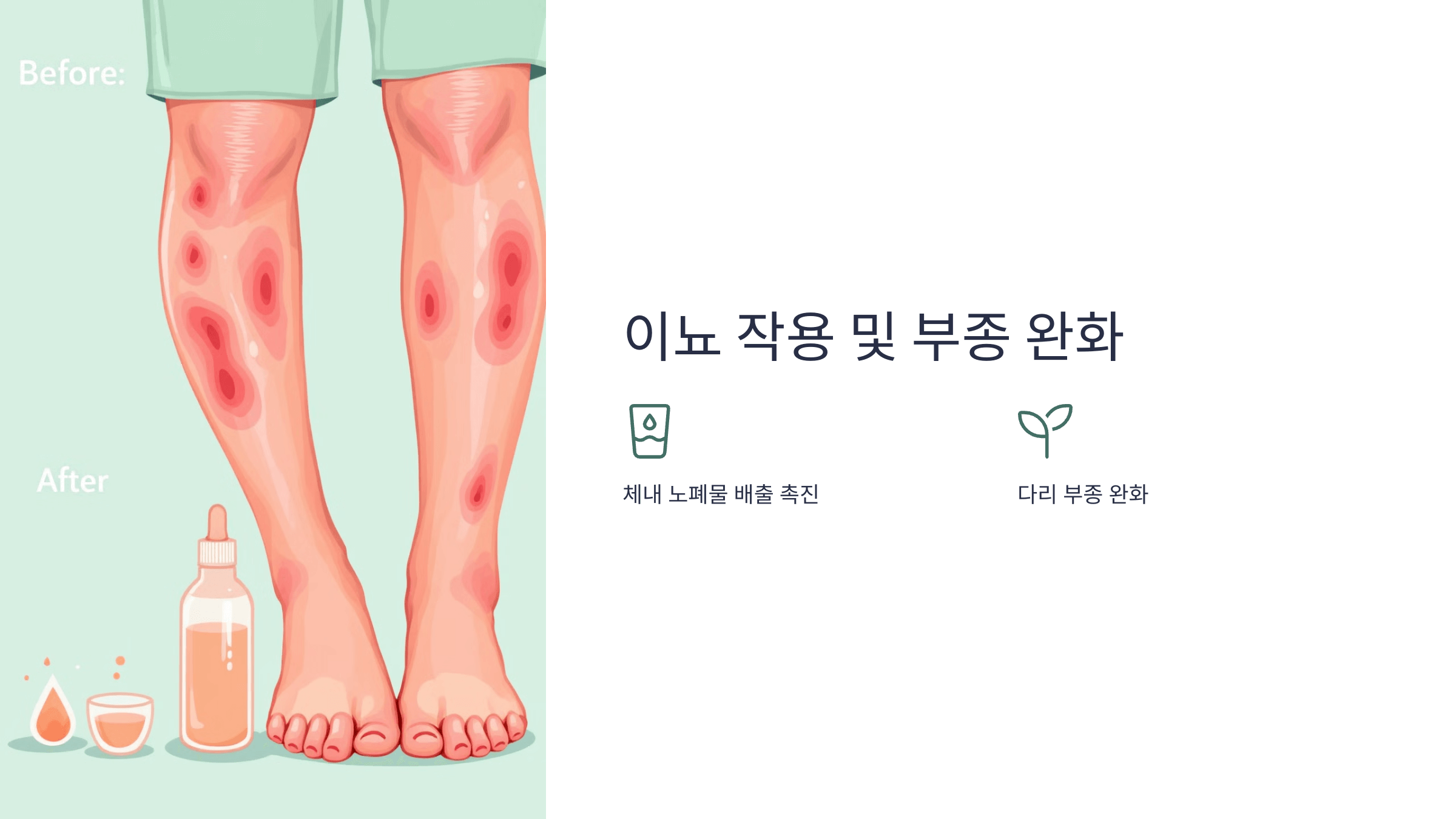 어성초 사진입니다.