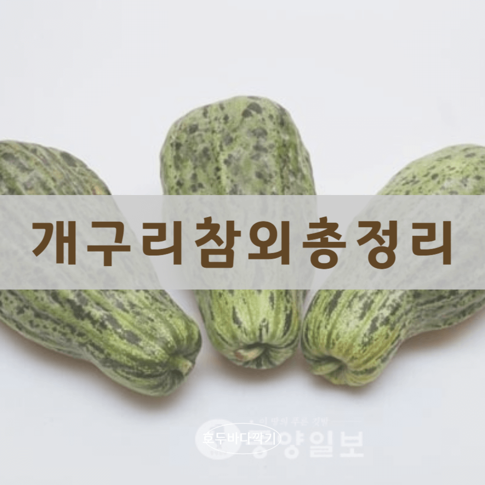 개구리-참외의-인기에-대한-사진