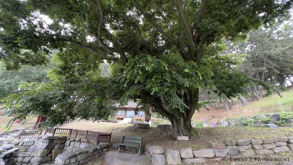 보령 가볼만한곳 베스트10