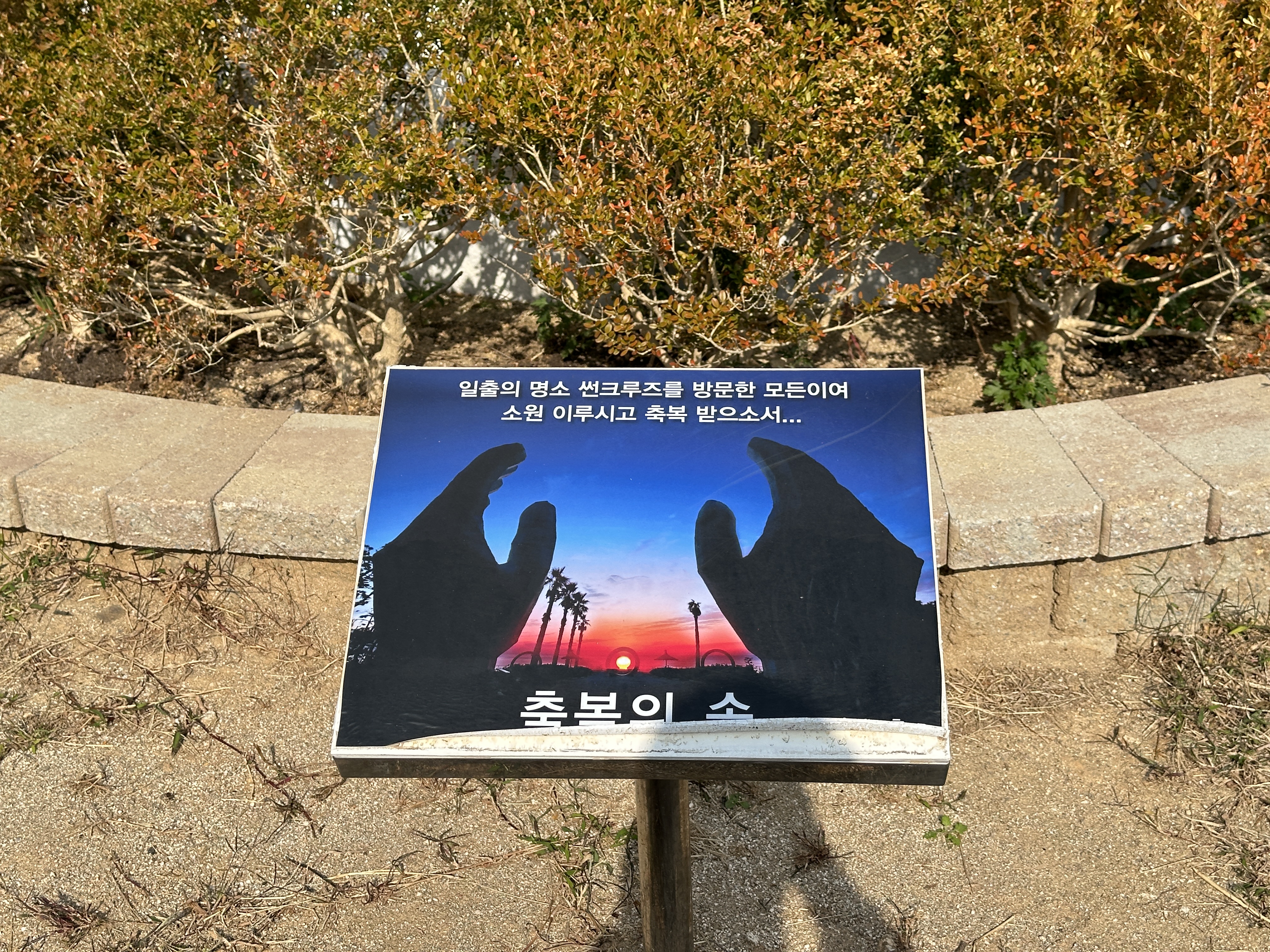 정동진 조각공원 축복의 손