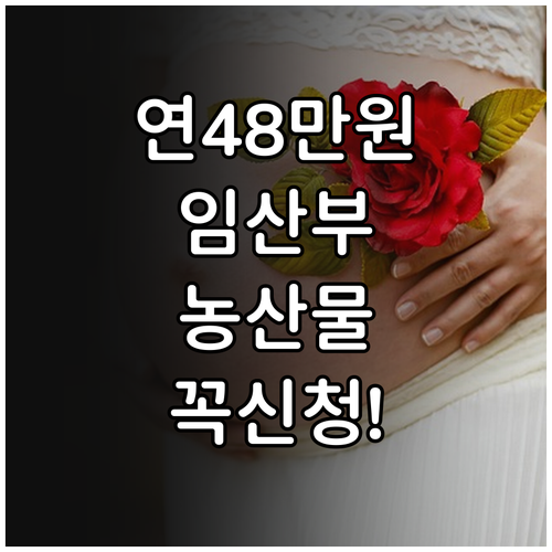연간 48만 원 혜택 임산부 친환경농..