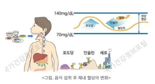 음식 섭취 후에 체내 혈당 변화를 보여주는 사진