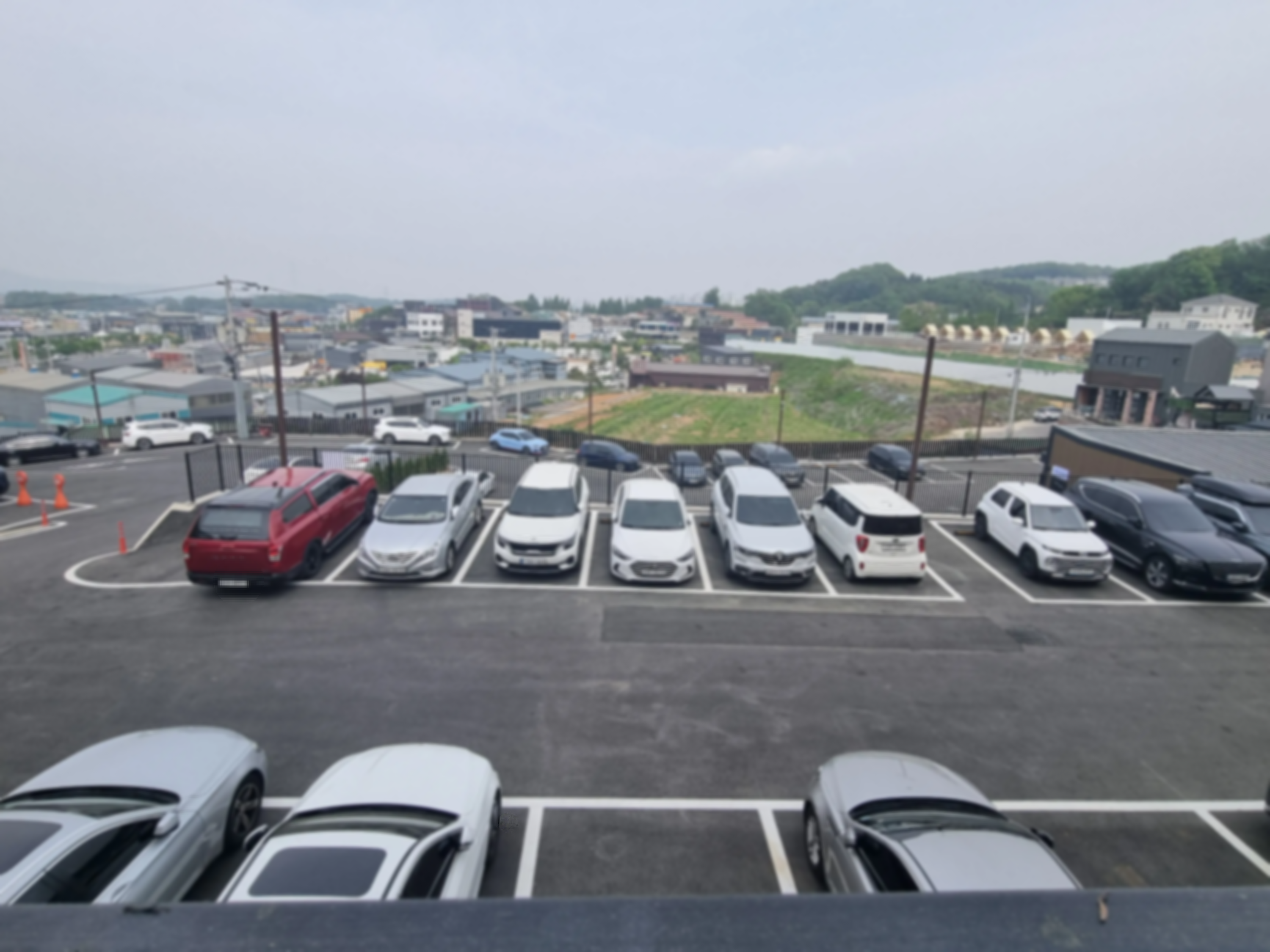 김포 라데아 카페: 깔끔한 감성과 야외 숲 정원의 편안함