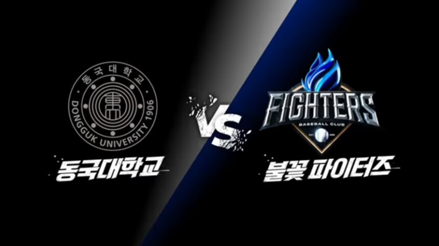 불꽃야구 직관 예매 방법 총정리