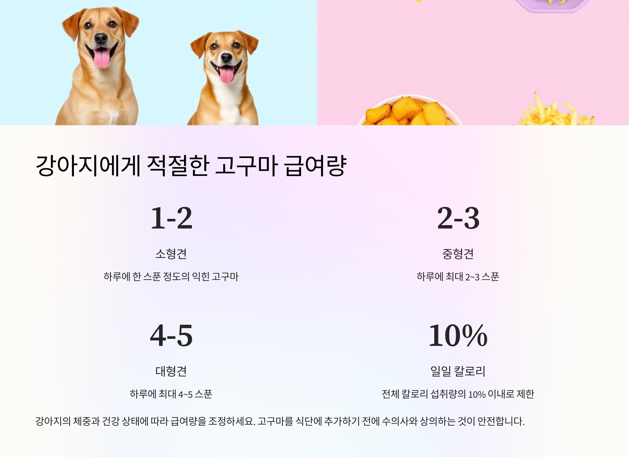 강아지에게 적절한 고구마 급여량