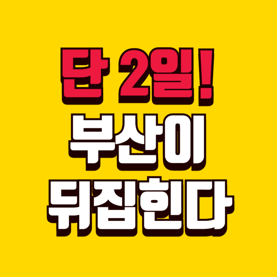 5월 부산 K-POP 콘서트, 예매 전 필수정보!