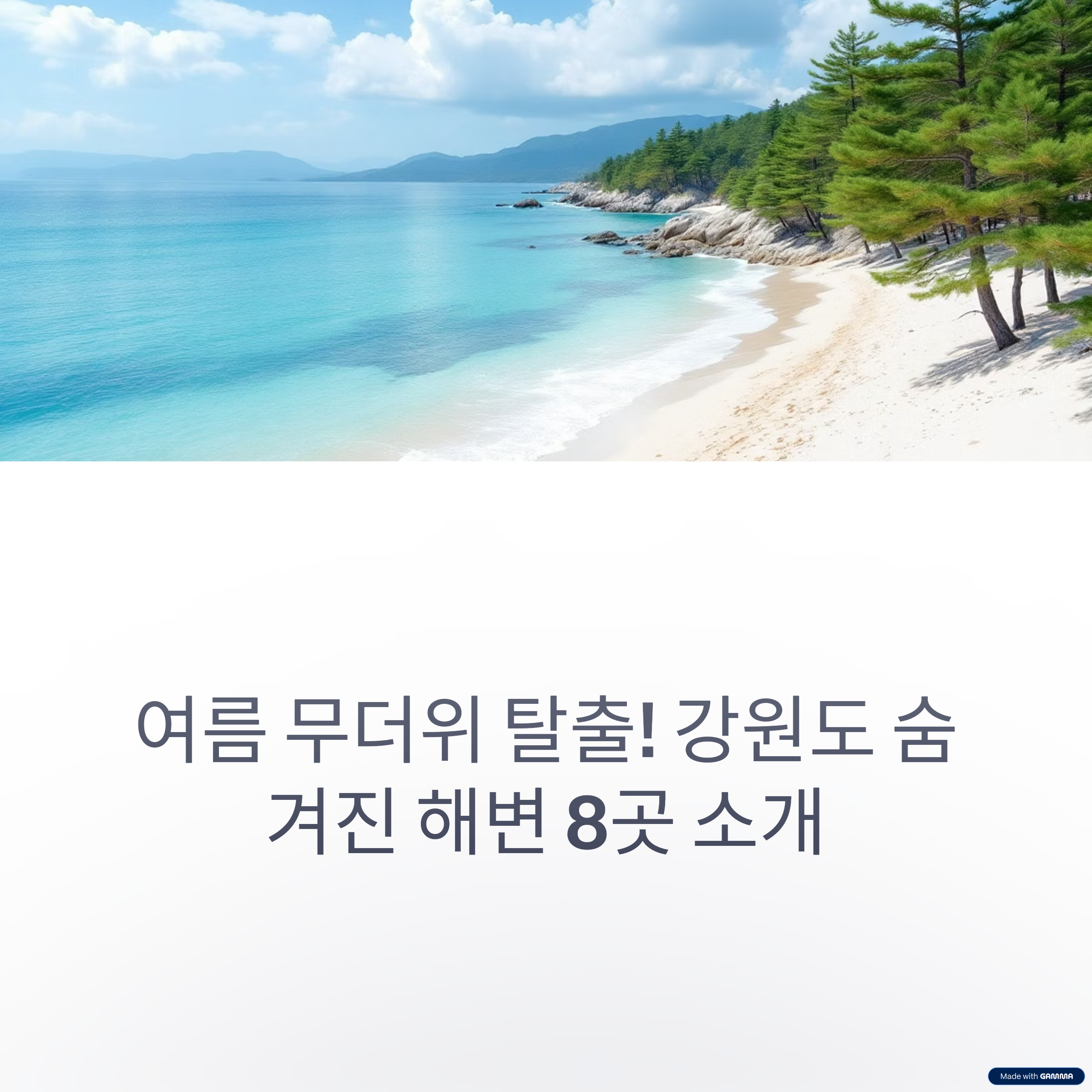 강원도 여름 해수욕장 여행지 BEST 8 – 동해, 강릉, 양양 명소 총정리