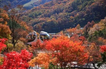 화담숲 예약하기 화담채 예약으로 절차정리_7