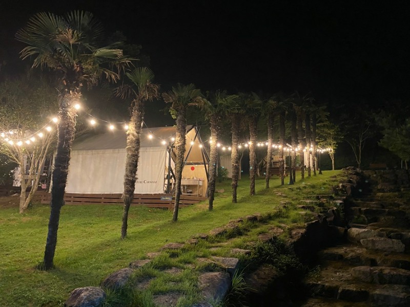 장흥 하늘빛수목정원 튤립축제